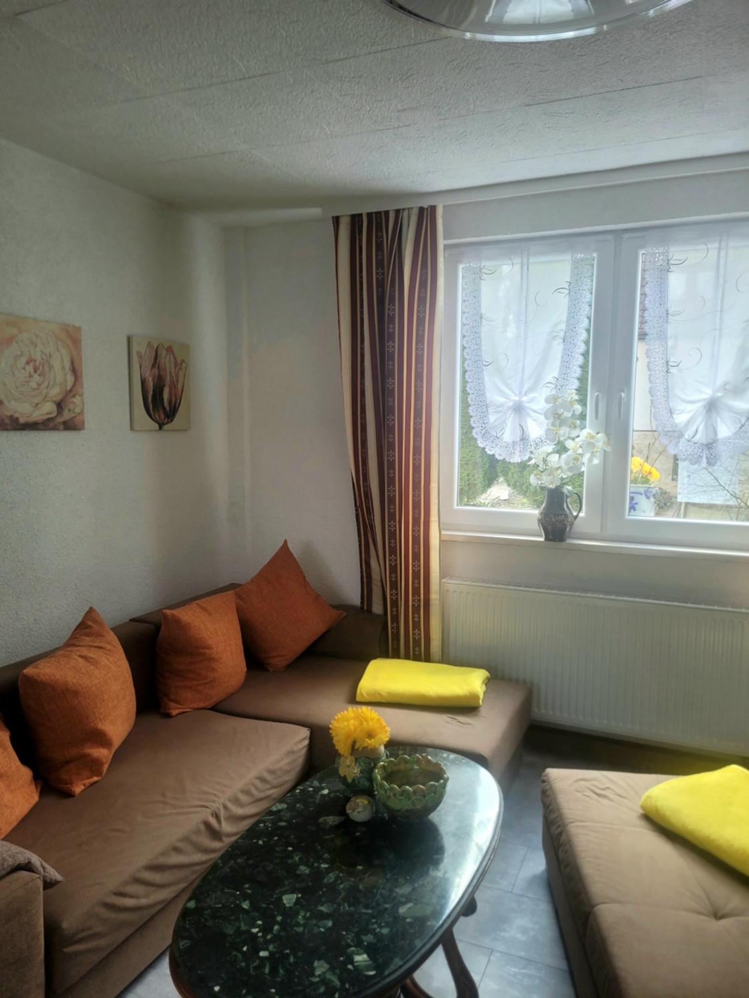 Sirisferienhaus Kurort Steinbach-Hallenberg 外观 照片